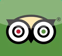 Tripadvisor Logo Icon