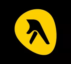 Yellow Pages Logo Icon